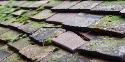 Gatlas roof repair costs